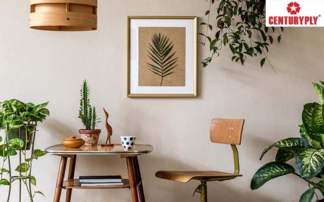 Your Home Deserves the Best: 5 Reasons to Buy Plywood Online from CenturyEshop
